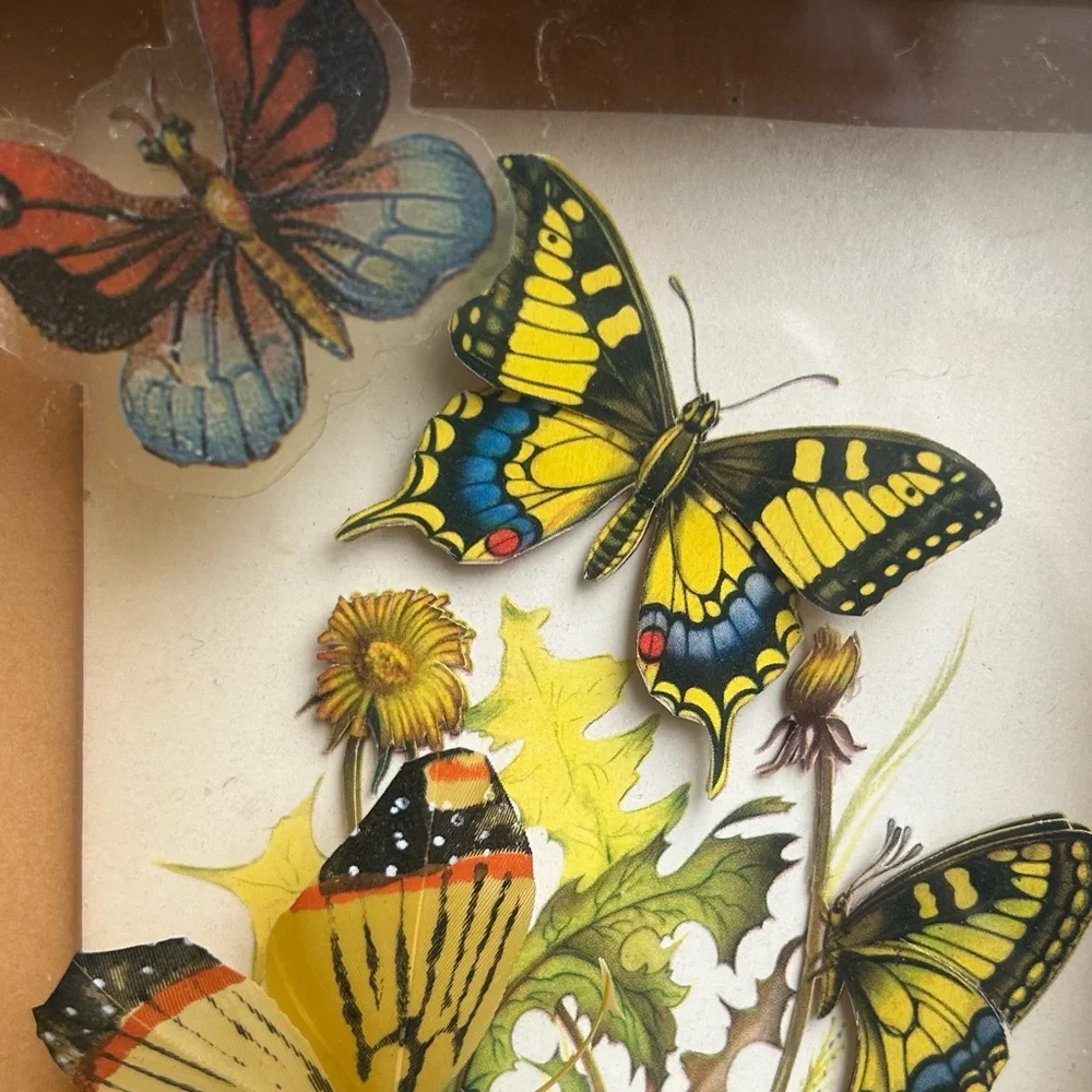 NFS - Picture 7 of 8